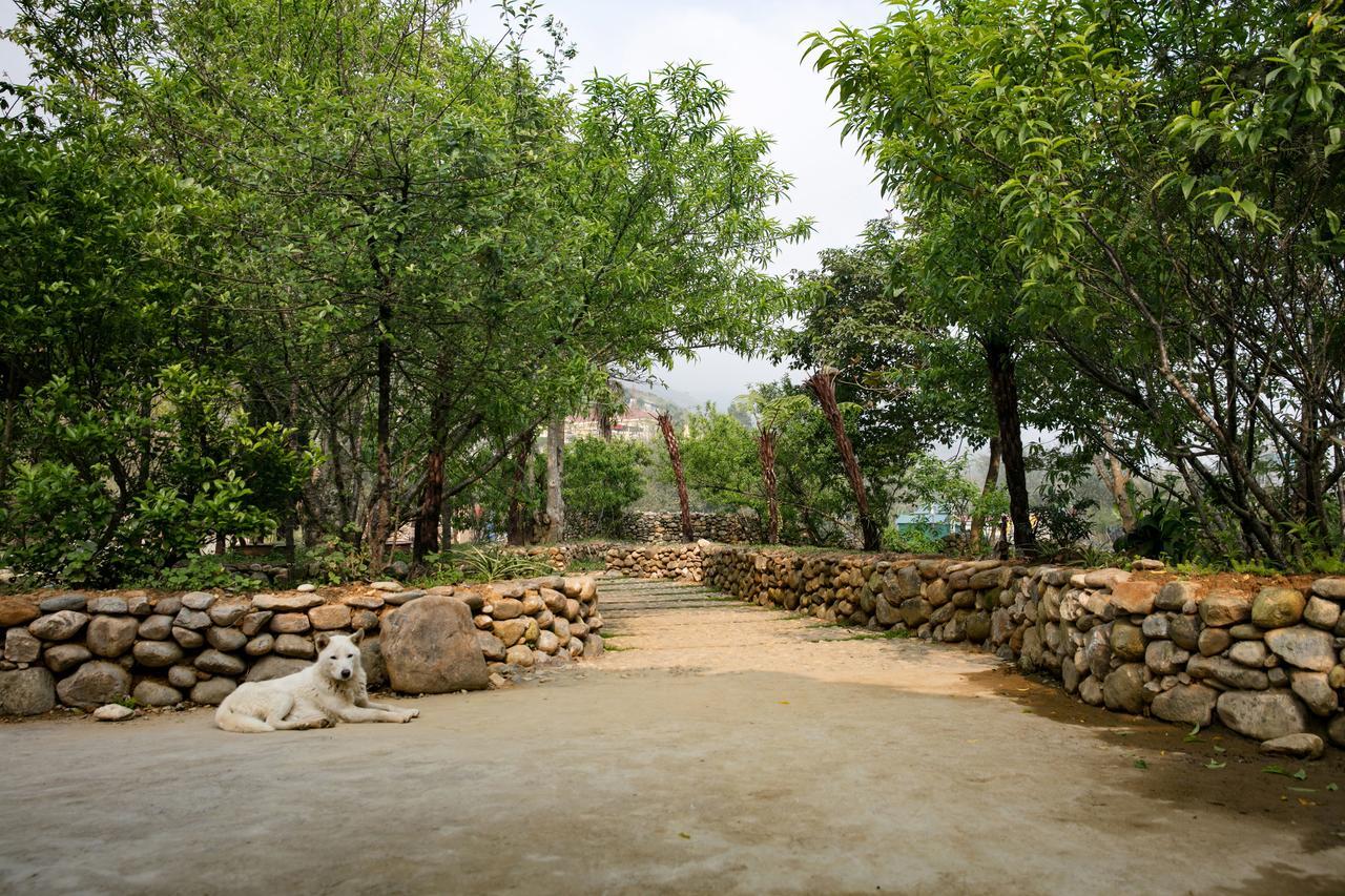 Tavan Riverside Ecolodge سابا المظهر الخارجي الصورة